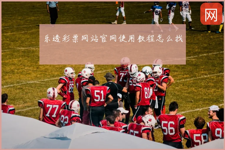 乐透彩票网站官网使用教程怎么找
